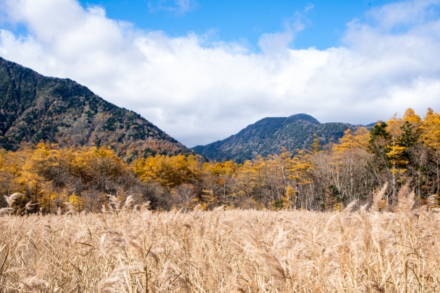 栃木県 戦場が原