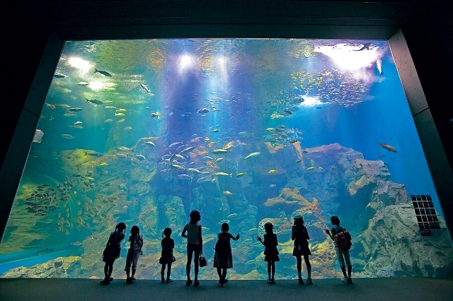 男鹿水族館