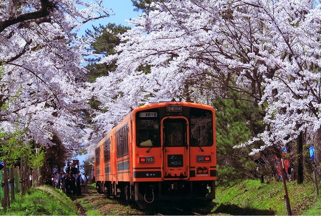 青森芦野公園