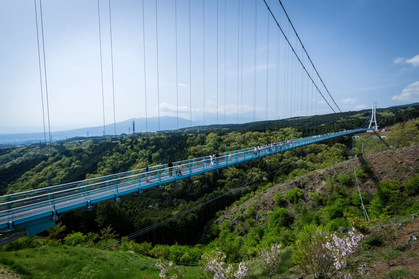 三島スカイウォーク