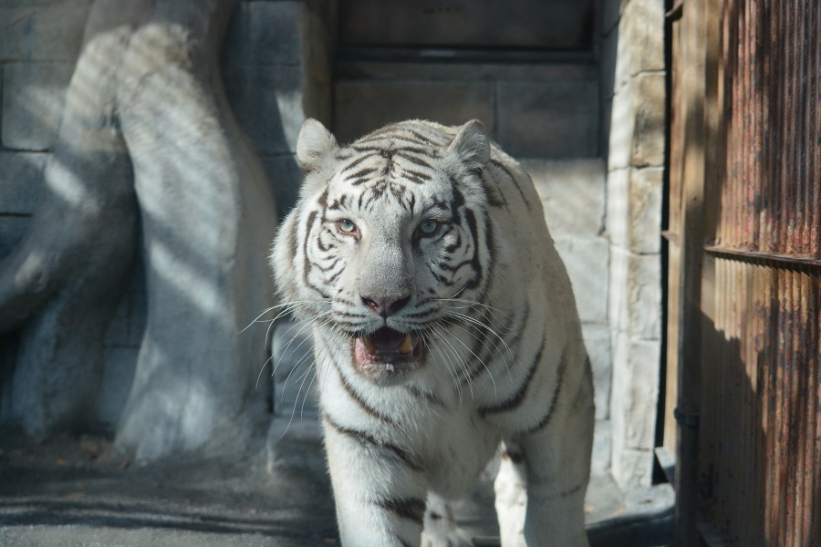 東武動物公園