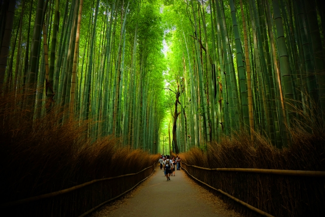 嵐山　竹林の小径