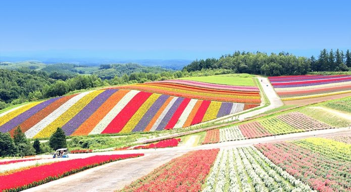 北海道四季彩の丘