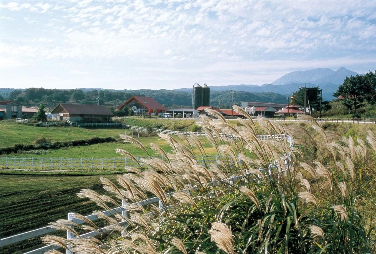 蒜山高原