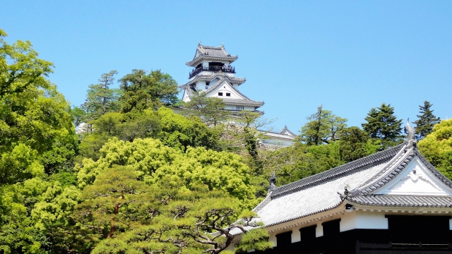 高知城風景