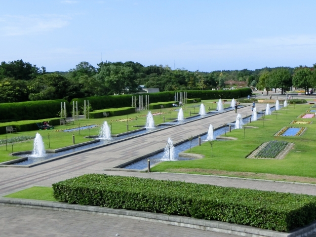 海の中道海浜公園