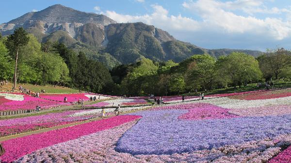 羊山公園