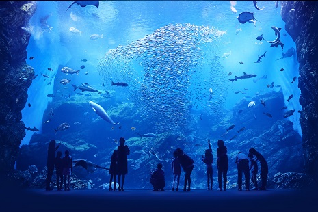 仙台うみの杜水族館