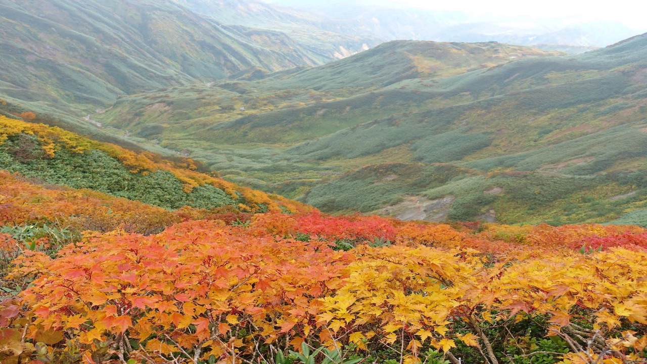 山形県のおすすめ観光スポット10選