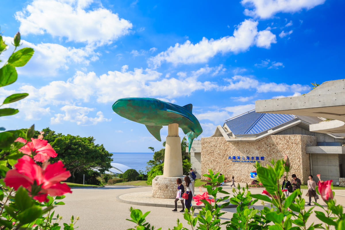 沖縄美ら海水族館